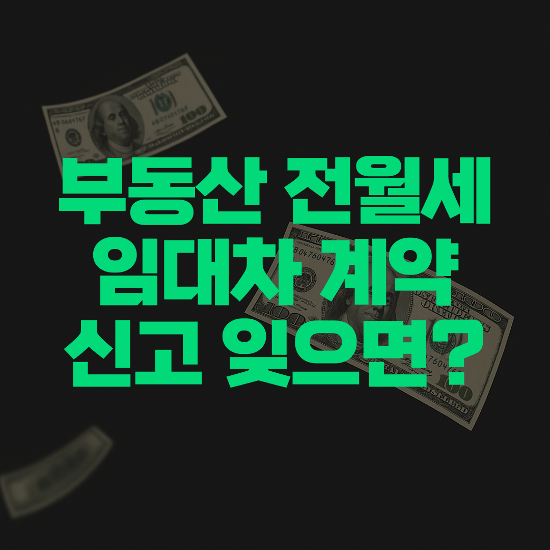 부동산-전월세-임대차계약신고